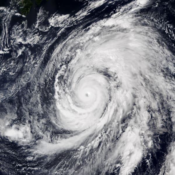令和元年台風第19号、ハギビス